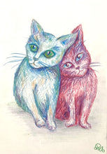 Charger l'image dans la galerie, Chatons